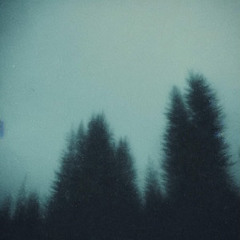 The Metamorphosis of Prime Intellect