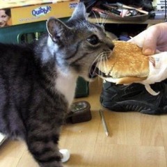 Zombie eats a burger