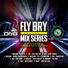 Fly Bry Mix Series Vol. 1 Feat: Forensics & Fly Bry