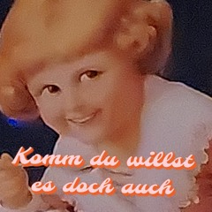 CheapeX auf Wish bestellt [FUNTRACK]