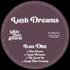 PREMIERE: Ivan Dbri - Long Time Coming [White Deer Records]