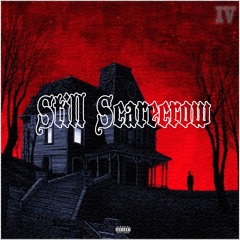 STILL SCARECROW 4