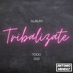 ALBUM TRIBALIZATE TODO 2021 | DESCARGA GRATIS CLICK EN "COMPRAR" |