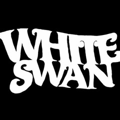 white swan