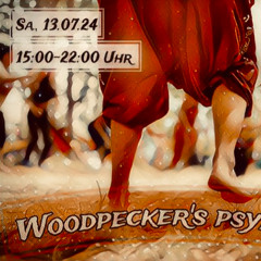 Tranceporter @ Woodpeckers Psyerlei -13.07.24 - DarkPsy / Psy