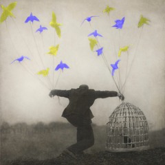 Casadh An TSúgáin - The Gloaming Cover