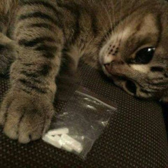 forever feat. 3pAngel