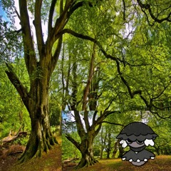 mushjak goes to the woods and talks to the trees