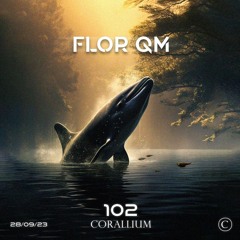 Episodio 102 - Flor QM