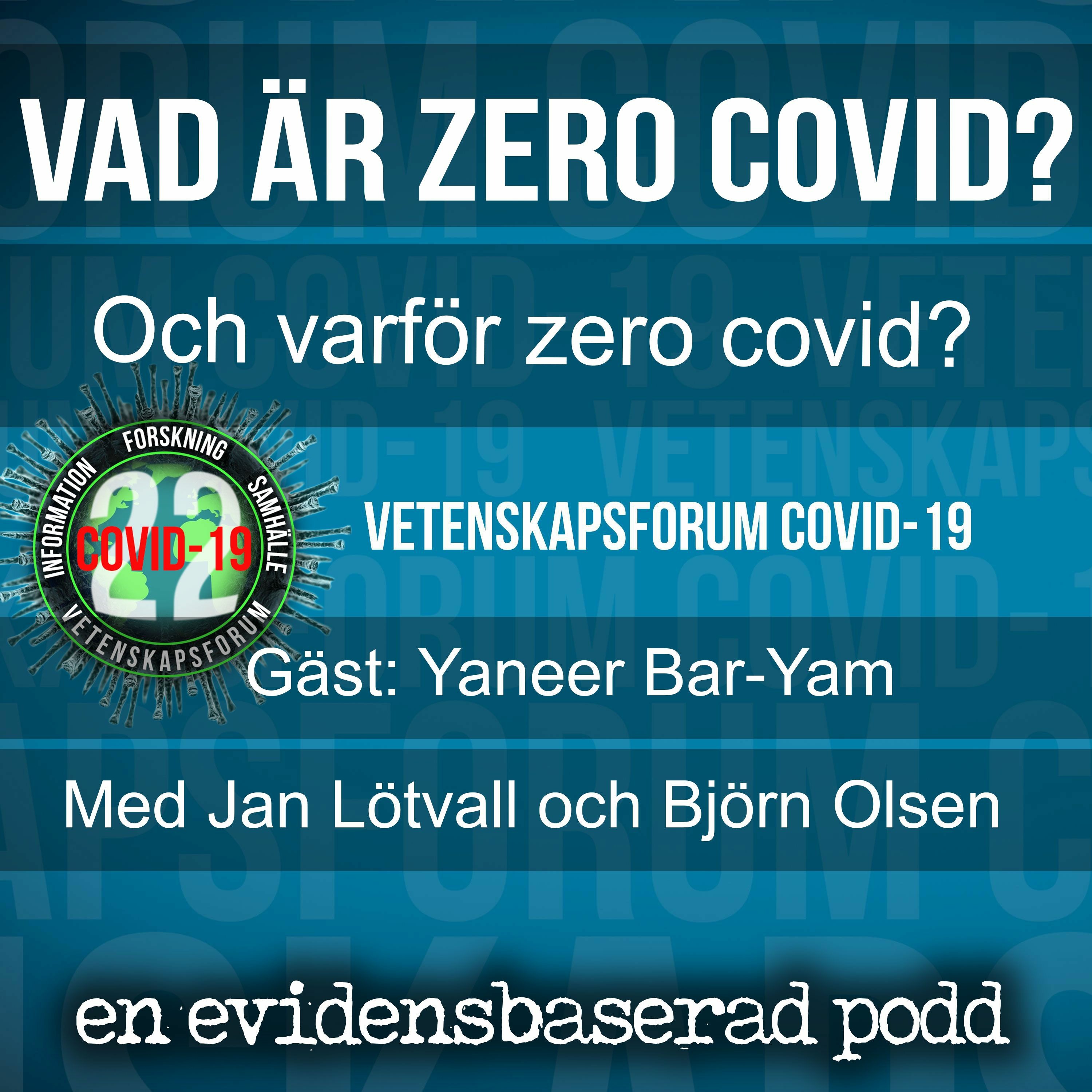 Vetenskapsforum covid-19