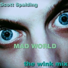 Mad World (the wink mix)- Scott Spalding