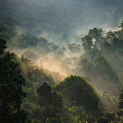 COSMIC DREAM CLUB - Borneo (Part 1)