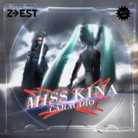 Soundcloud podcast image for Brainrot Healing Frequency - la hyène invite MISS KINA 