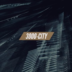 3000-CITY(FMNer)
