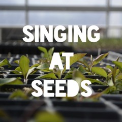 Ep. 6: Singing at Seeds