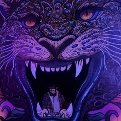 TITRAKARMA @ Archaic Gathering Jaguar Stage Friday Night 12 - 1:30am