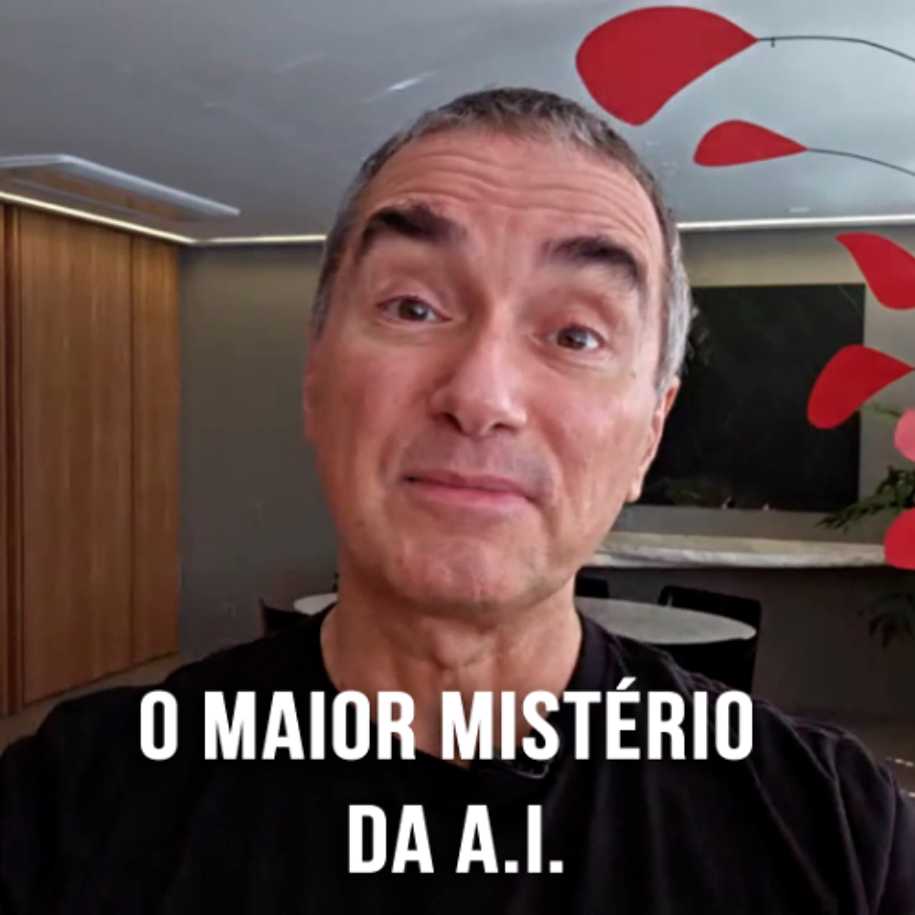 meus podcasts reunidos