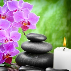 The Chronicles of ZEN