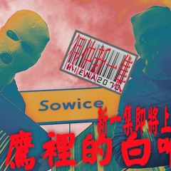 Maciura x Wirtual - Chias in Sowice