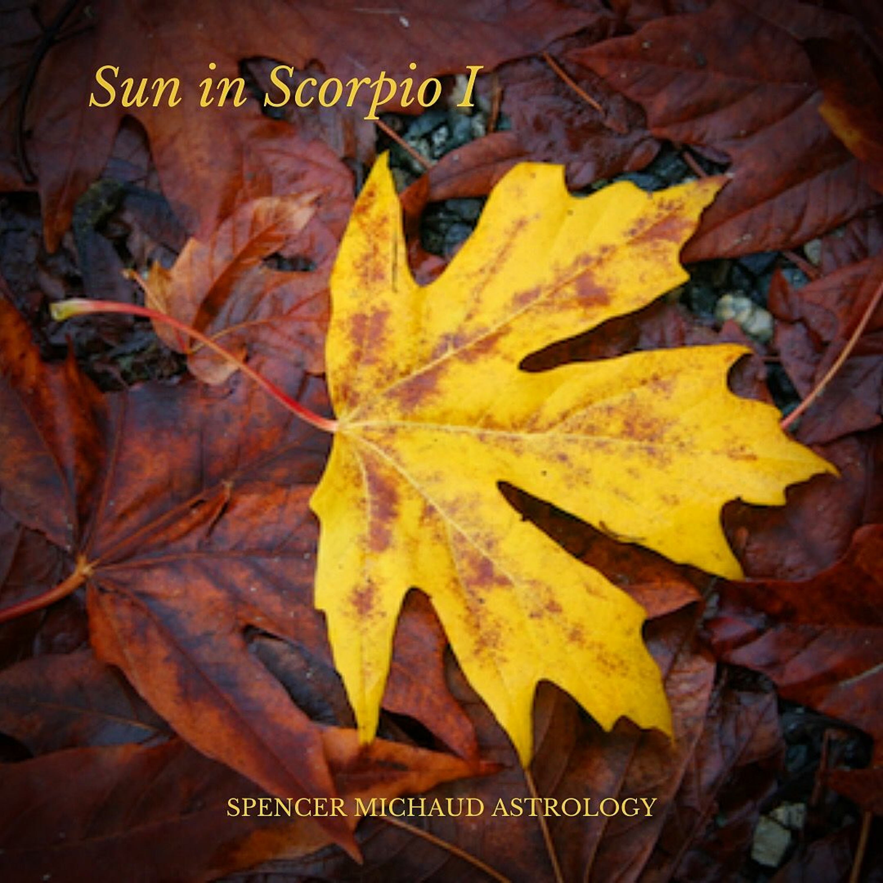 Spencer Michaud Astrology