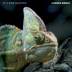 Imanu - It's Our Destiny (Lyoska Remix)