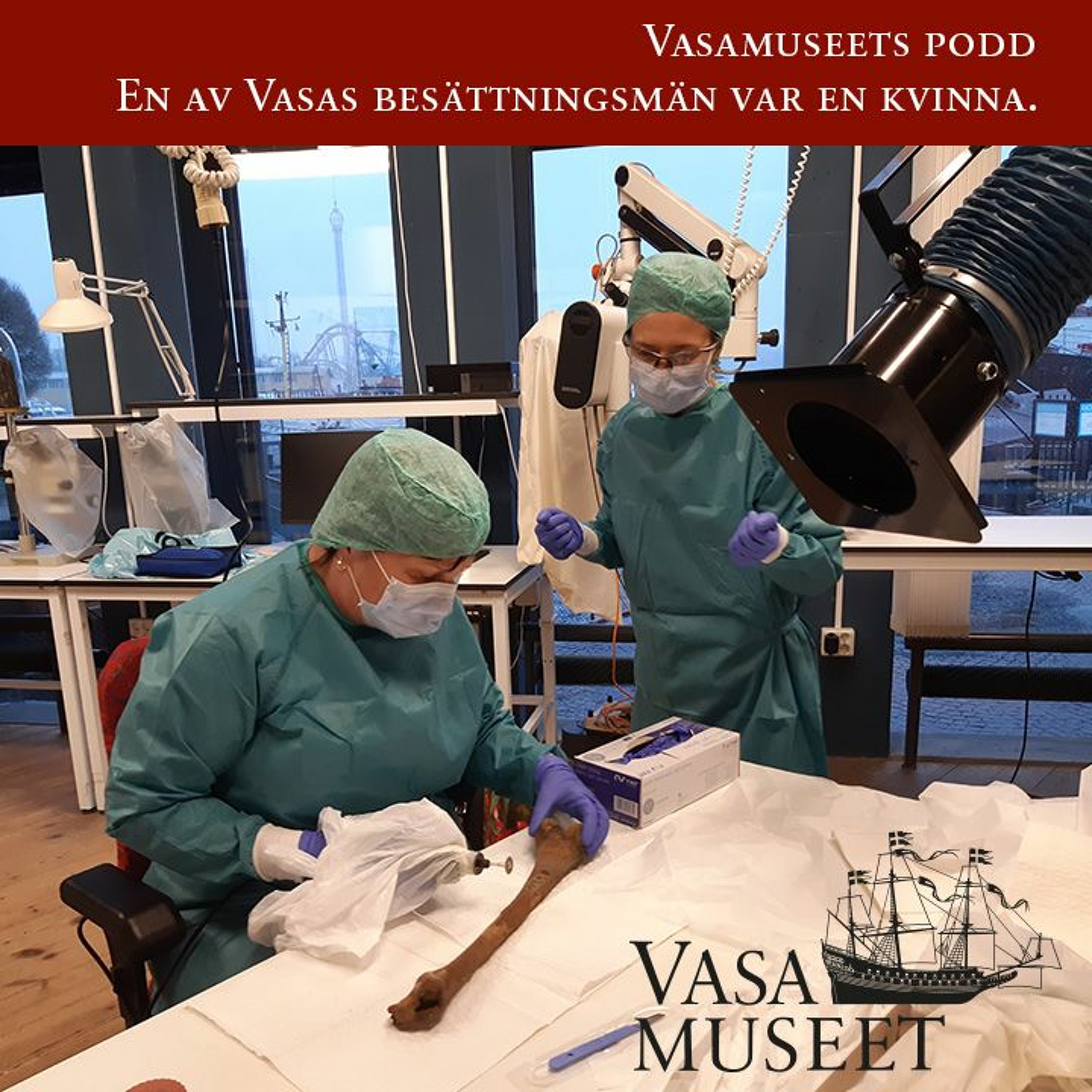 Vasamuseets podd