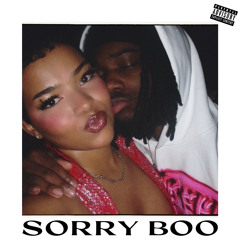 Sorry Boo (@prodbyfly)