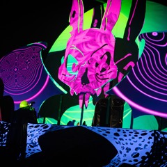 Rabbit Void 2026-20-5 High Bpm Ball - Czechia