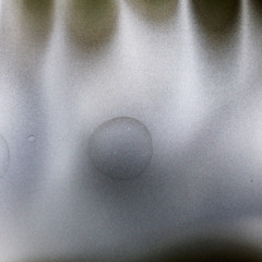 WHITE FLAG (prod. drugsmoneycanbuy + nobody1)