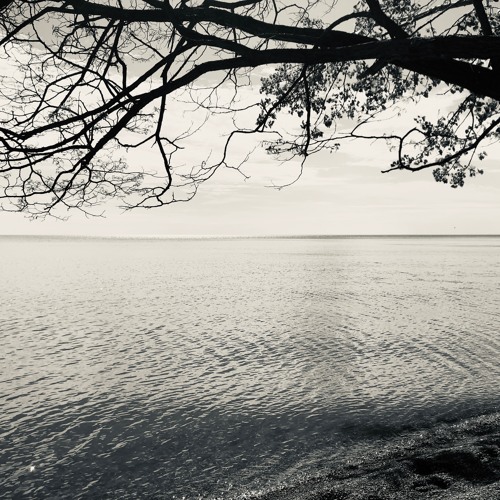 Gray Scale - Ableton Live Mix