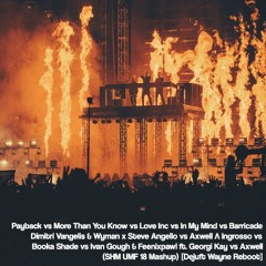 Payback Vs. More Than You Know Vs. In My Mind Vs. Barricade (SHM UMF 18 Mashup) [Wayne Reboot]