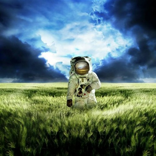 Alesis ambient background music ​🔊 ​FREE DOWNLOAD