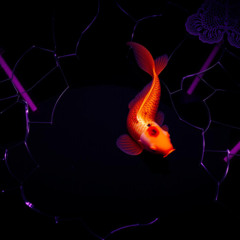 Love Me Last Night Alive 3