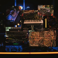 BEDDINGEN 23.11.2024