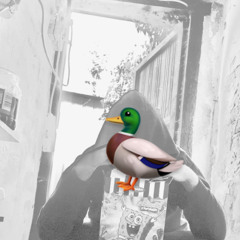 donald duck prod enrgy beats