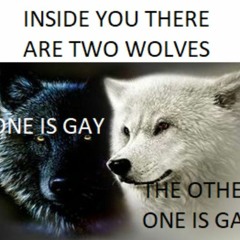 There Are Two Wolves Inside You (Both Are Gay)