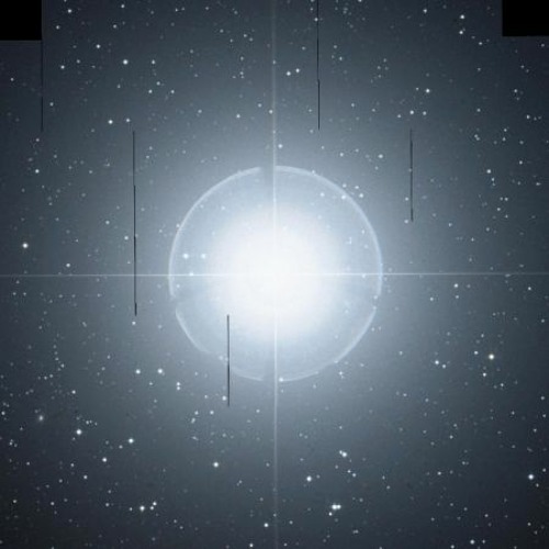 GON - POLLUX