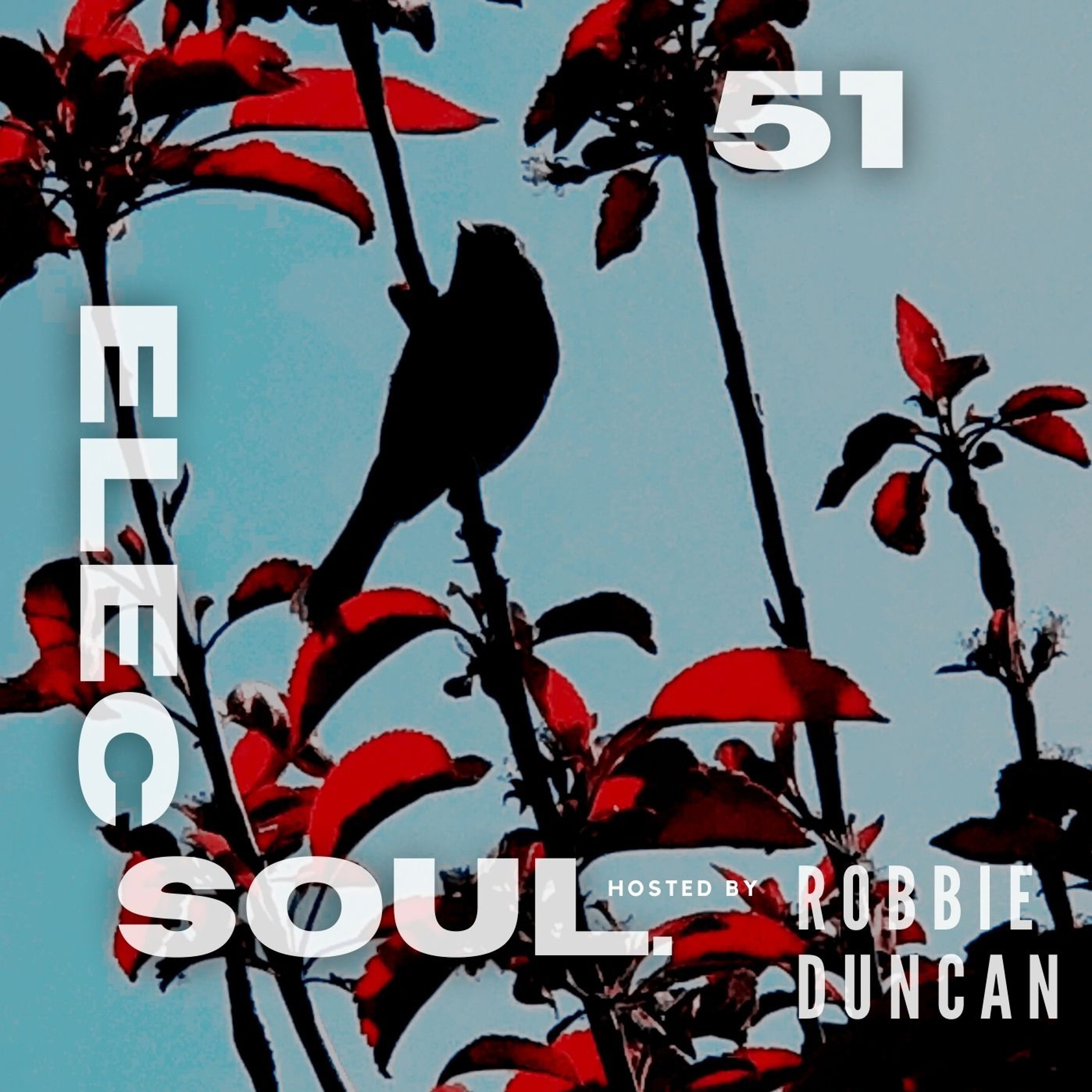 ElecSoul