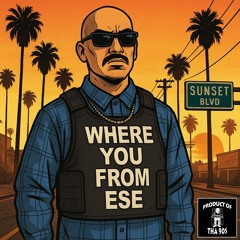 Mr. Criminal - Where You From Ese Product Of Tha 90s Remix