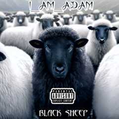 BLACK SHEEP