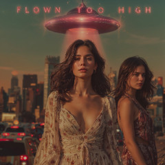 Flown Too High