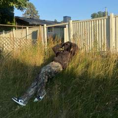 SUMCRAZYINLIFE (Prod. jones x warheart x lxndn)