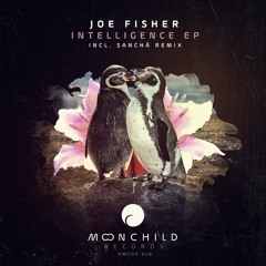 Joe Fisher - Intelligence [Moonchild Records]