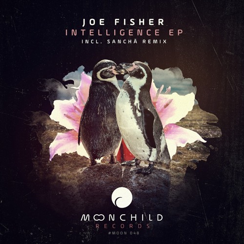 Joe Fisher - All That's Left [Moonchild Records]