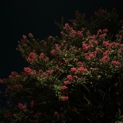 2025 쌈@뽕한 클럽 믹셋