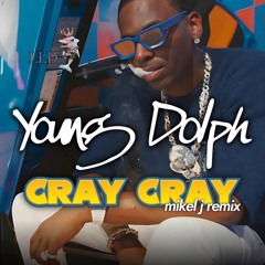 Young Dolph - Cray Cray (mikel j remix)