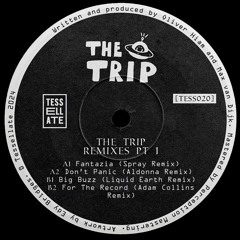Premiere: B1 - The Trip - Big Buzz (Liquid Earth Remix) [TESS020]
