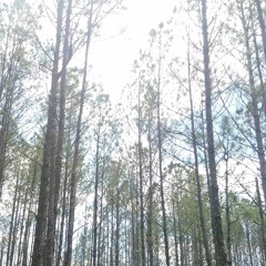 I Saw A Glimpse - 2018 Demo