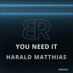 HARALD MATTHIAS - YOU NEED IT (ORIGINAL MIX)
