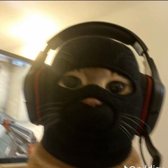 Schranz Rules V2